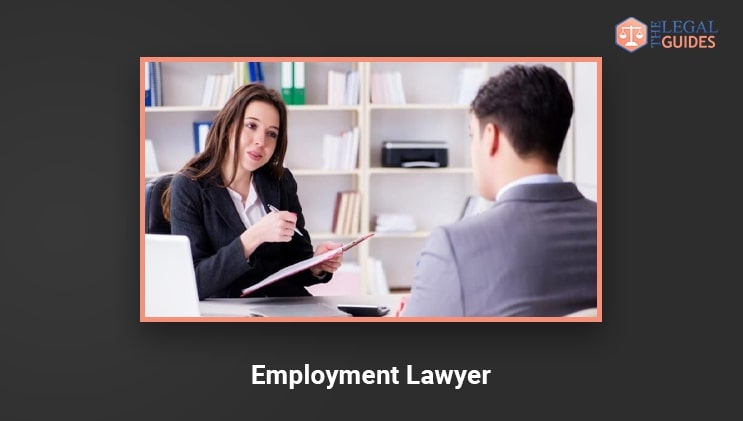 Employment Lawyer