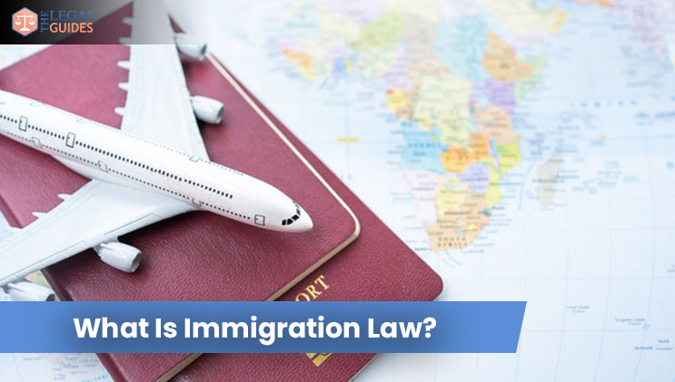 What Is Immigration Law?