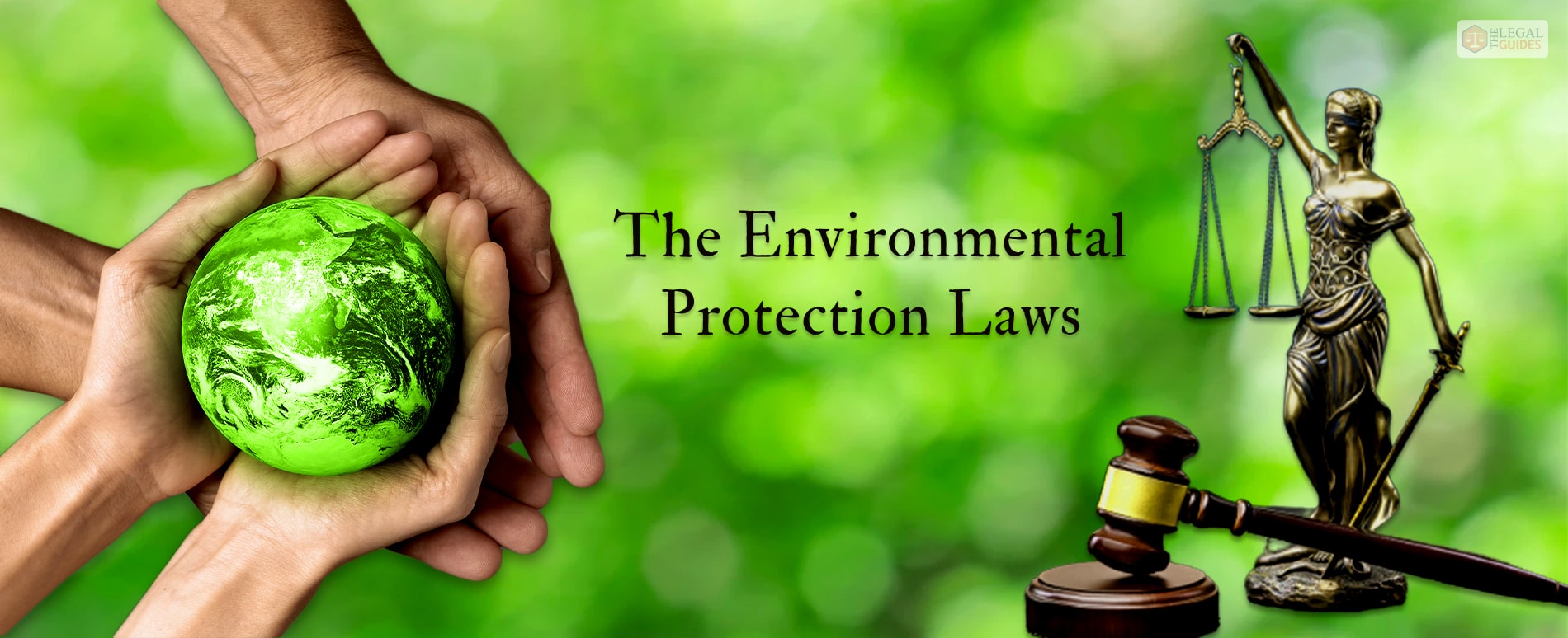 What Are The Environmental Protection Laws The Legal Guide