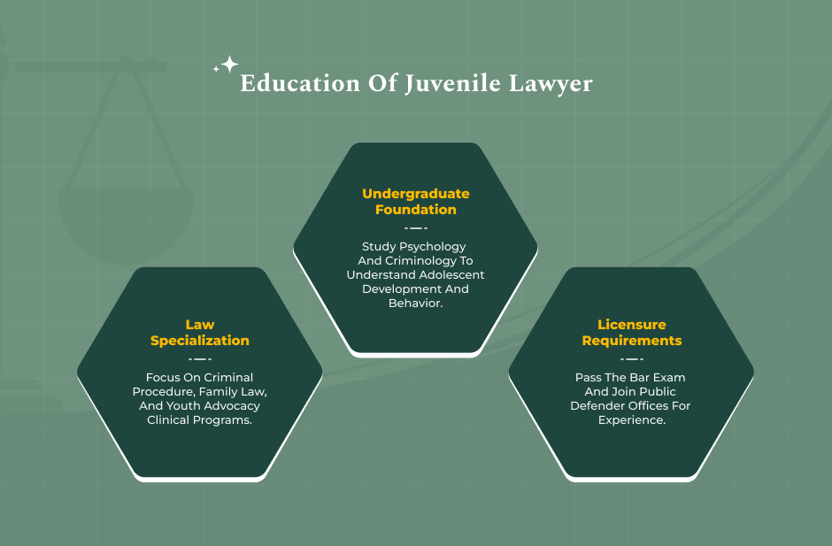 Educational And Professional Path