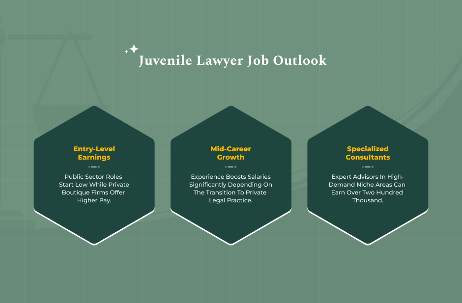 Juvenile Lawyer Salaries And Market Demand