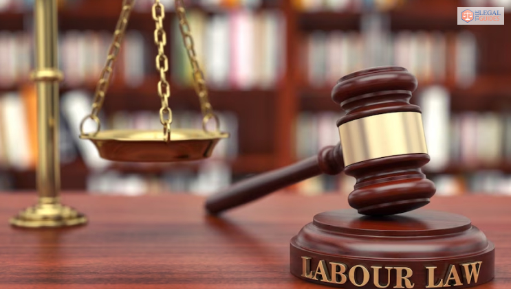 What Are The Five Major Kinds Of Employment Laws?