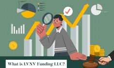 what is lvnv funding llc