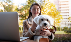 utah dog ownership laws