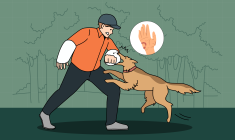 dog bite level