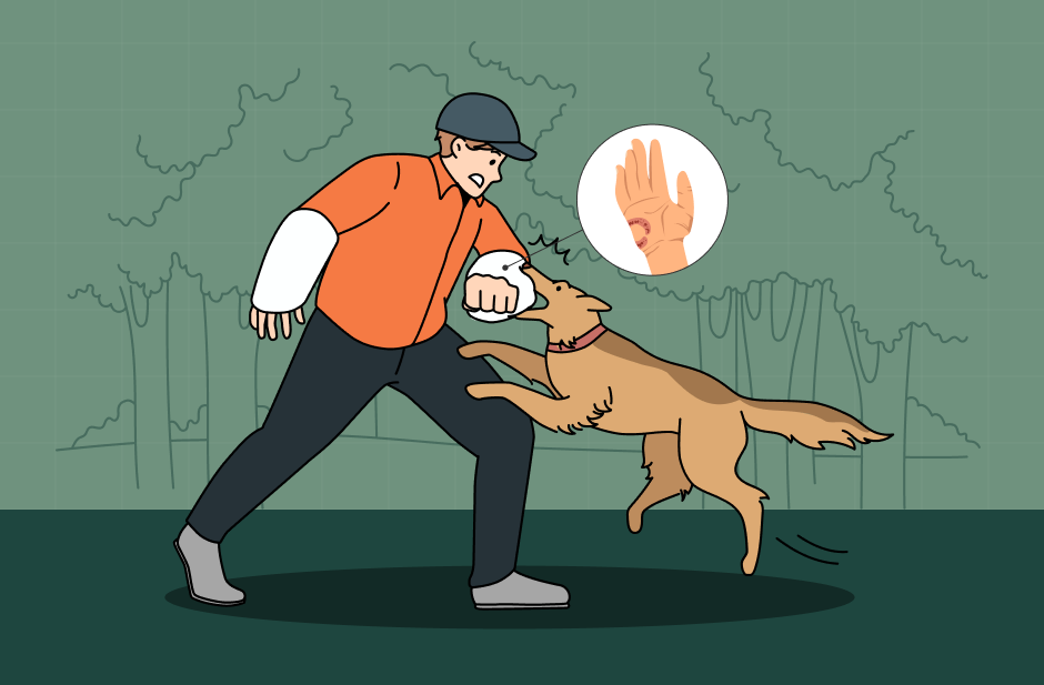 dog bite level