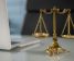 what does an appellate lawyer do