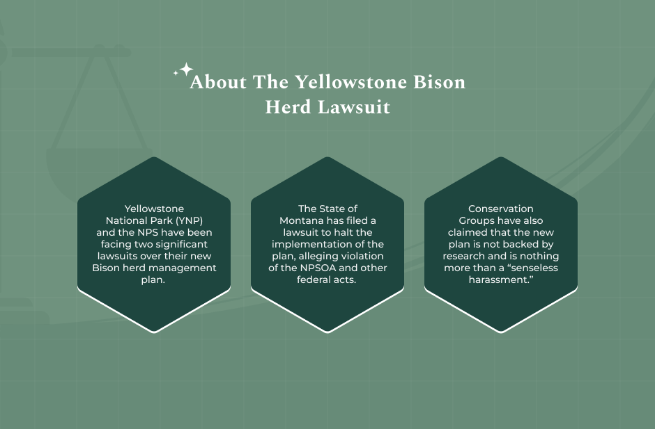 About the Yellowstone Bison Herd Lawsuit