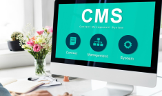 How Headless CMS Supports Content Repurposing