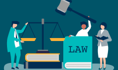 Insolvency Lawyer