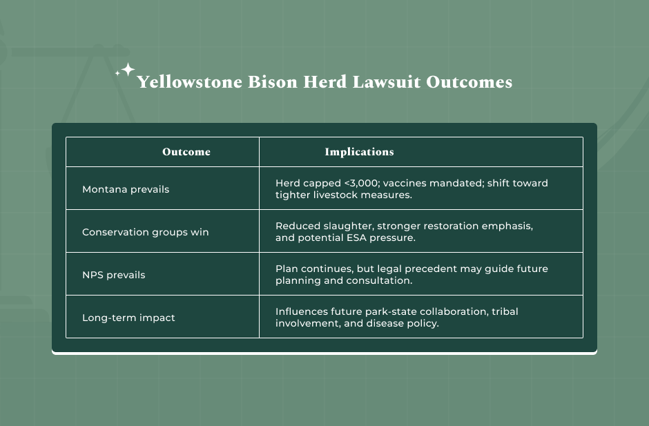 Potential Outcomes Of The Yellowstone Bison Herd Lawsuit