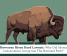 yellowstone bison herd lawsuit