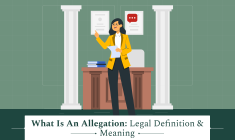 What Is An Allegation