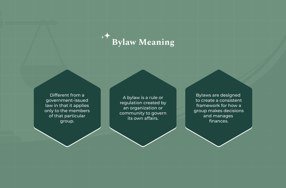 What Is A Bylaw_ Definition & Legal Nature