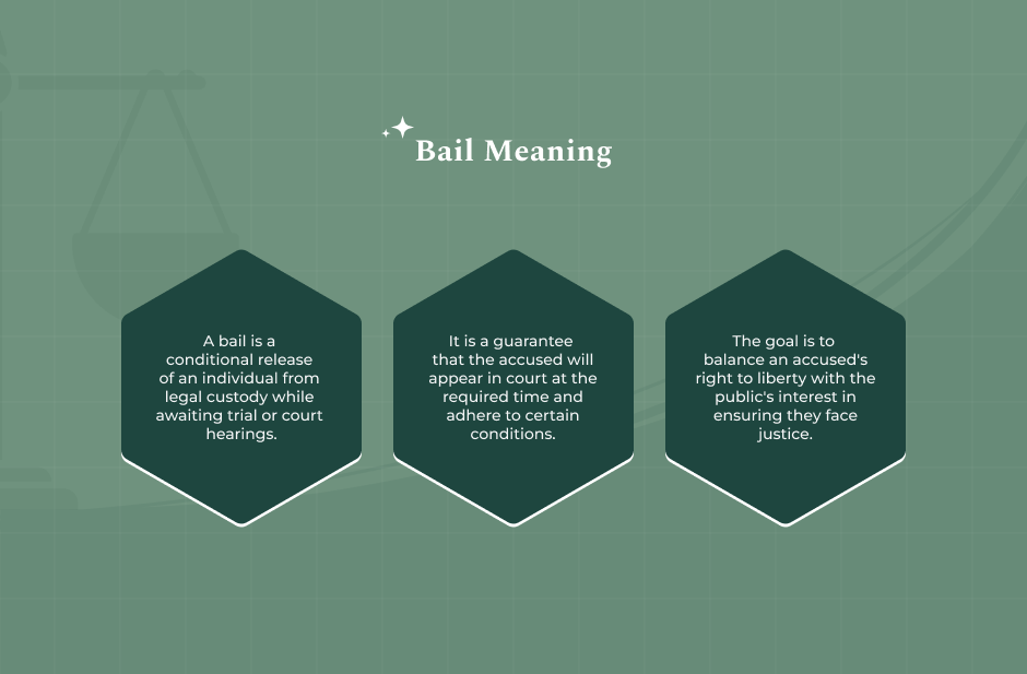 What Is Bail_ Definition And Purpose