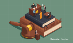 Detention Hearing