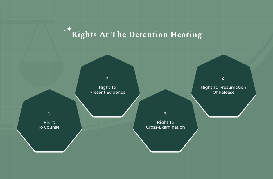 Rights And Protections At The Detention Hearing