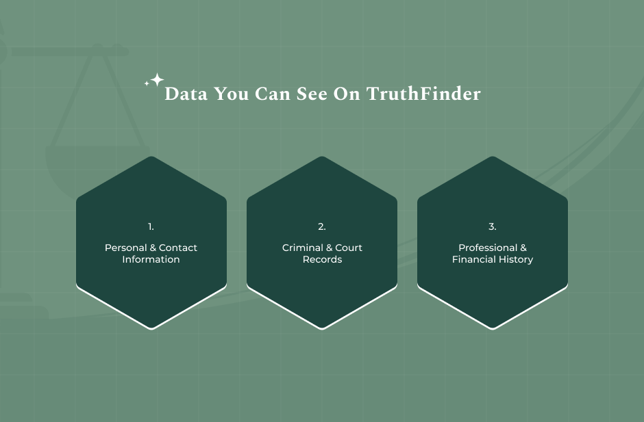 What Data Can You See On TruthFinder
