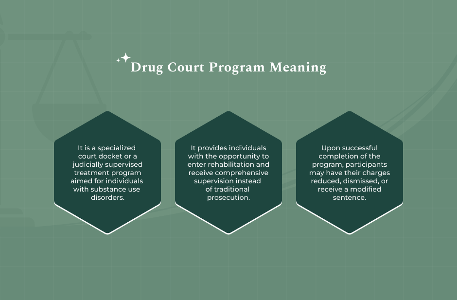What Is A Drug Court Program