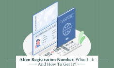 alien registration number