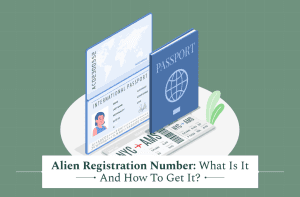 Alien Registration Number: What Is It & How To Get It?