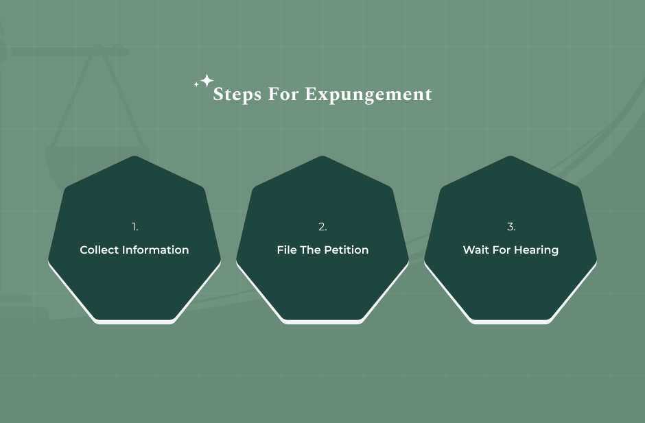 The Expungement Procedure