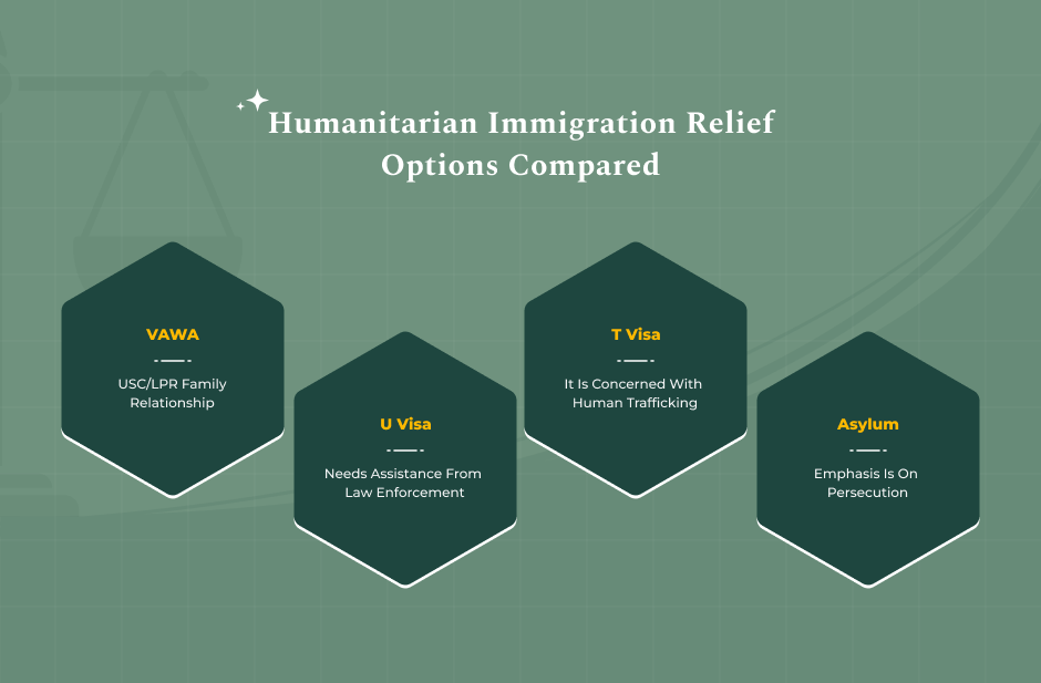 VAWA vs Other Options (U Visa, T Visa, Asylum)