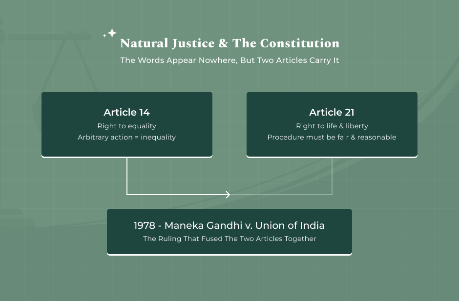 The Constitution Connection